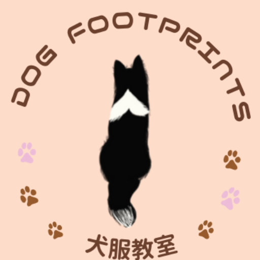 犬服教室　DogFootPrints